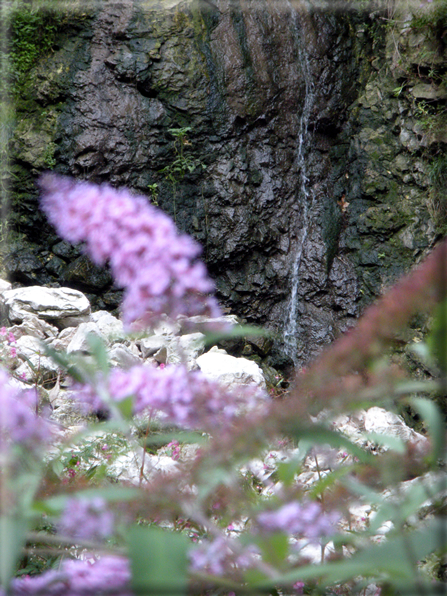 foto Cascate in Val Carazzagno